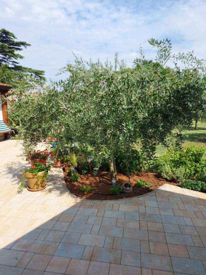 Apartments Marija Ουμάγκ Εξωτερικό φωτογραφία